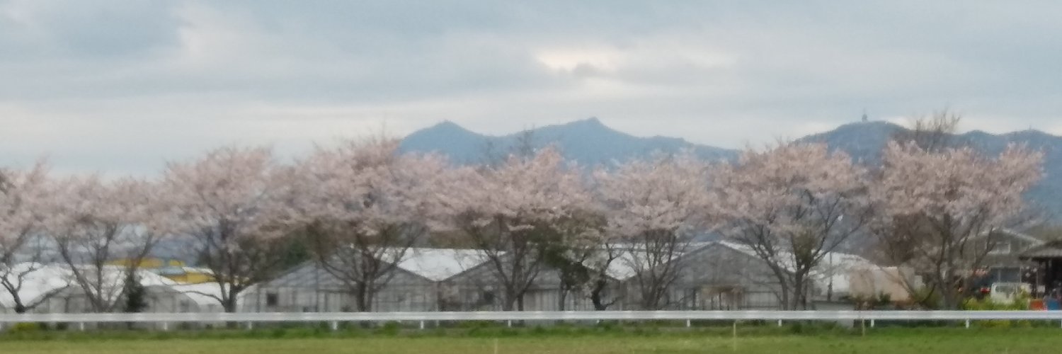musmon's profile banner image