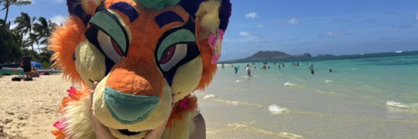 NukeCheetah Profile Banner