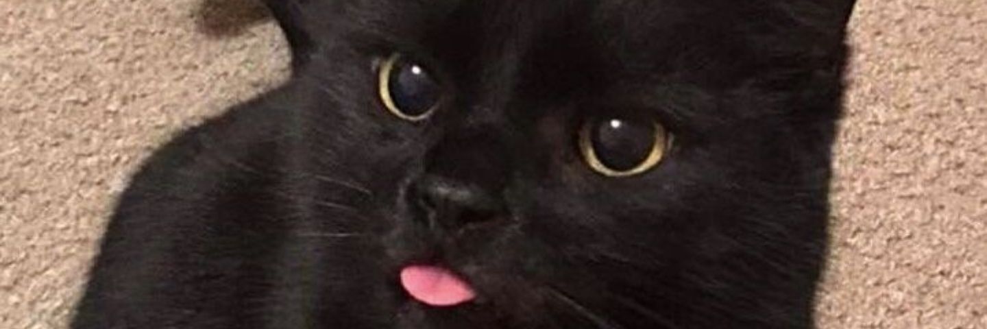 IDespir's profile banner image