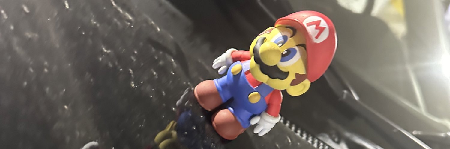 Dicy banner
