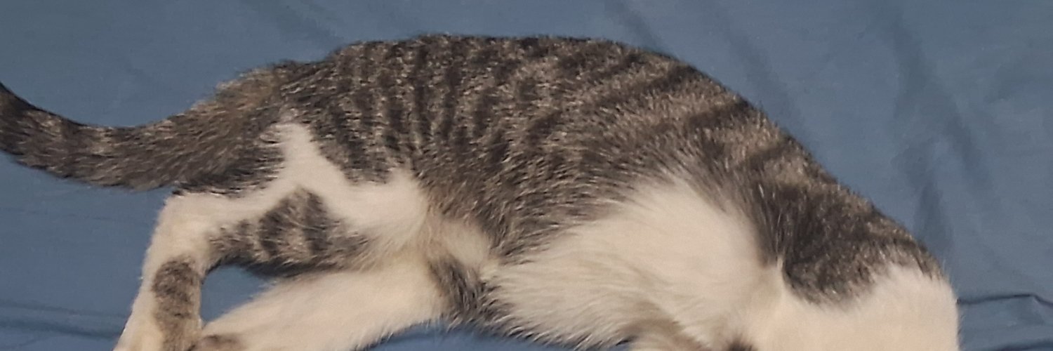 .•°Sᥕᥱᥱt .°•☆ banner