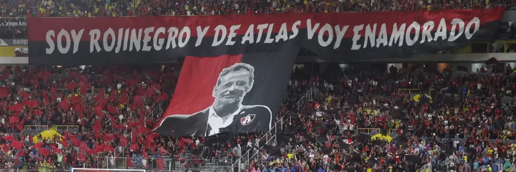 COCCAtlas 🔴⚫ banner