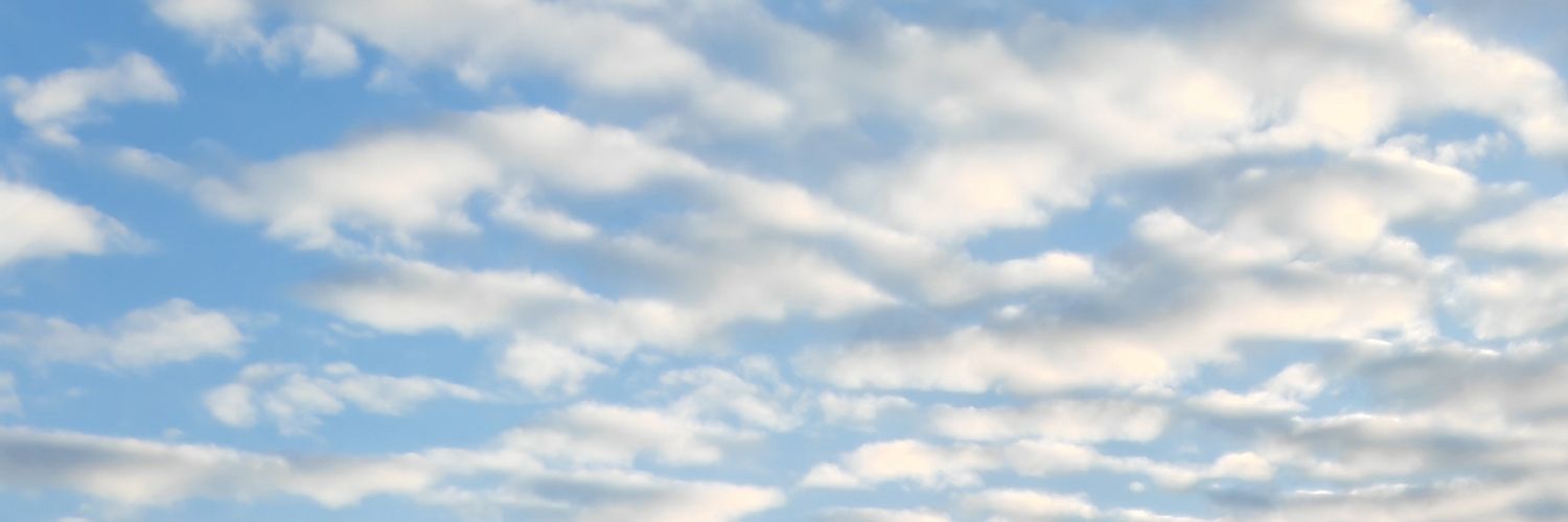 学理不学文谢谢女士 banner