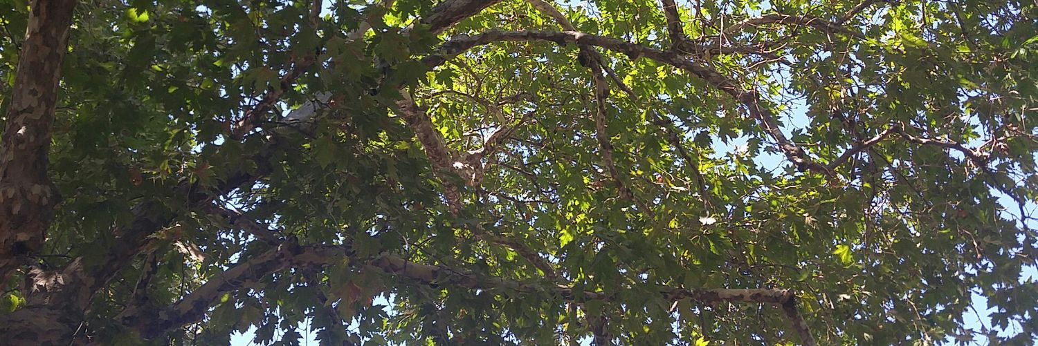 ik_'s profile banner image