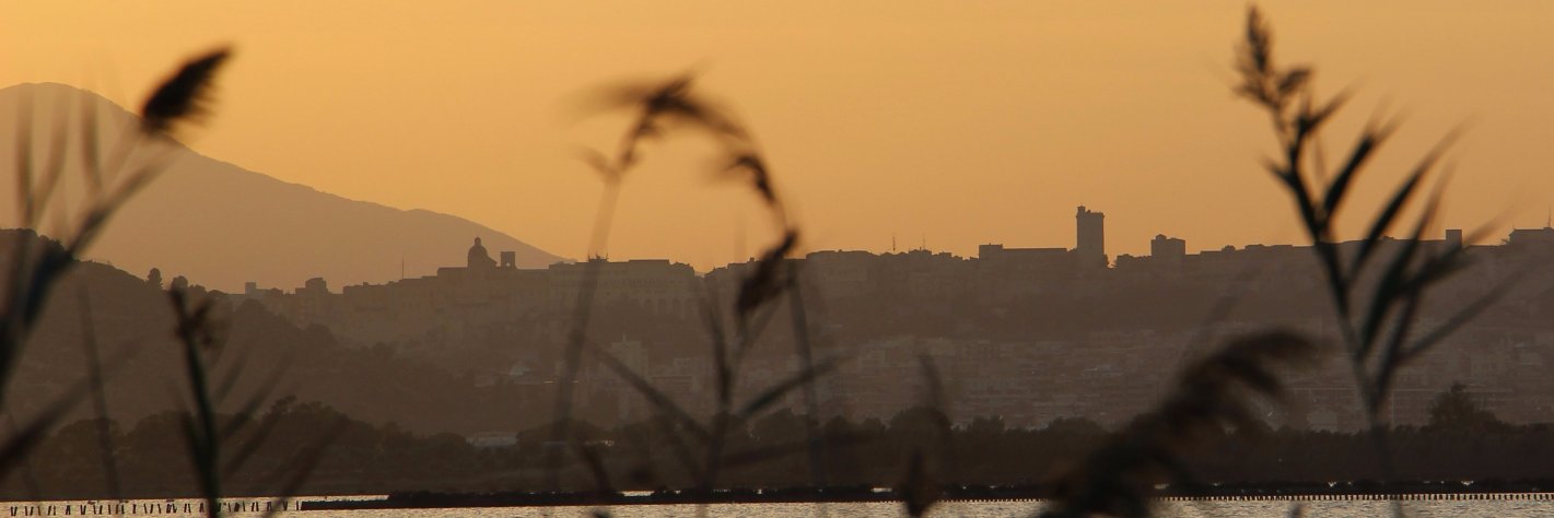 AndreaDeidda's profile banner image