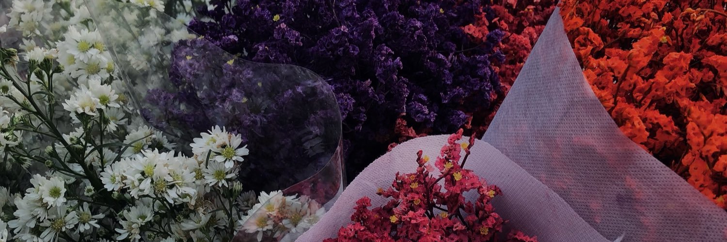 𝒀𝑶𝑼𝑹𝑫𝑶𝑳𝑳§ banner
