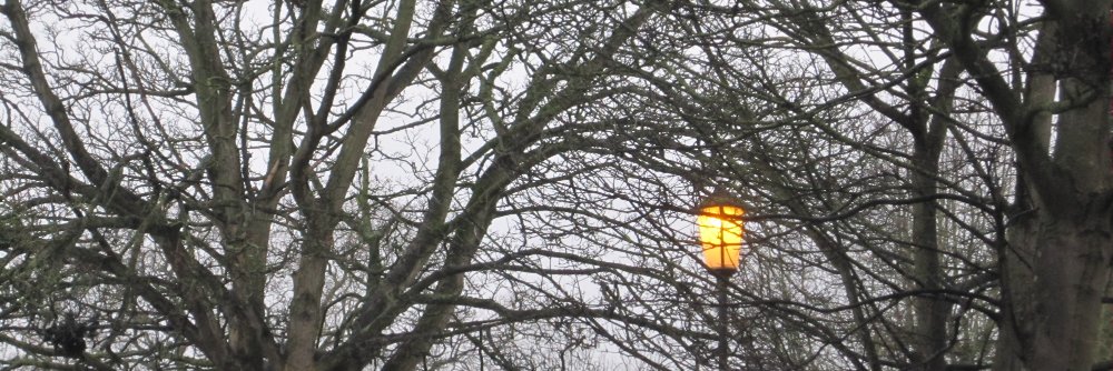 おおつか　のりこ banner