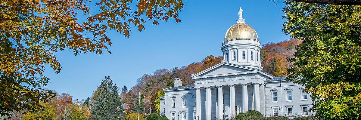 Vermont Daily Chronicle's banner