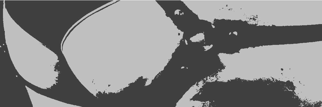 XylaLycus's profile banner image