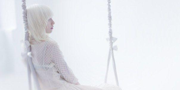 albinonastya's profile banner image
