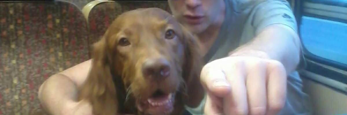 Laszlo Csetenyi banner