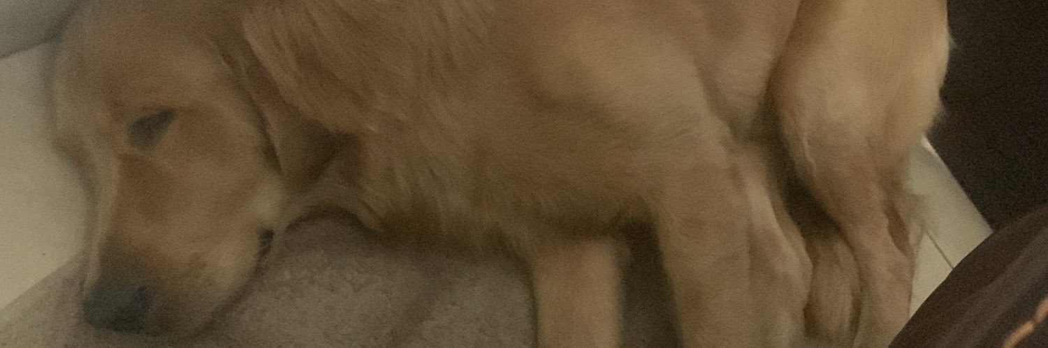 Brunoojl5's profile banner image