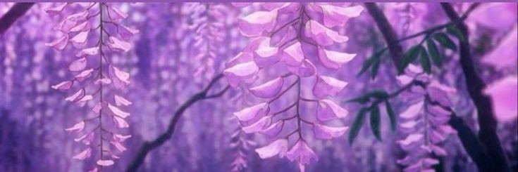 Shri banner