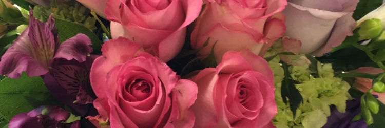 misskaigen's profile banner image
