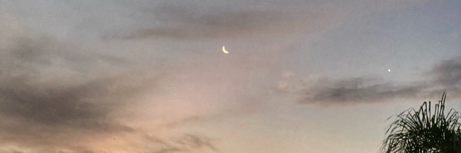 lautimarasca's profile banner image