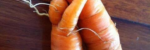 nutpakin's profile banner image