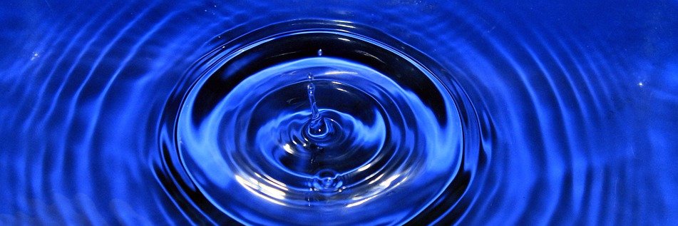 Danielle Shryock banner