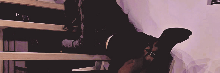 ‎ ‍‎˖ 𑣿 ݁ ‍ 𝗟𝗨𝗖𝗬⁎ banner