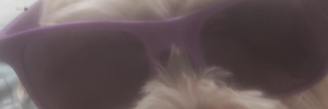leonardo_hgr's profile banner image