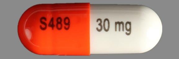 ʕ ᵔᴥᵔ ʔ banner