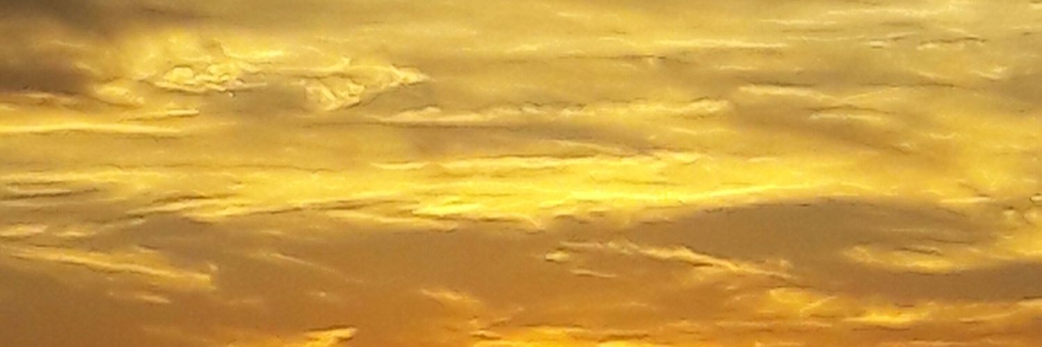 rossanaporta's profile banner image