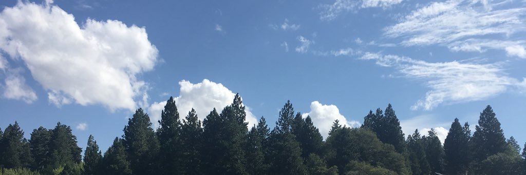RochelleReiter's profile banner image