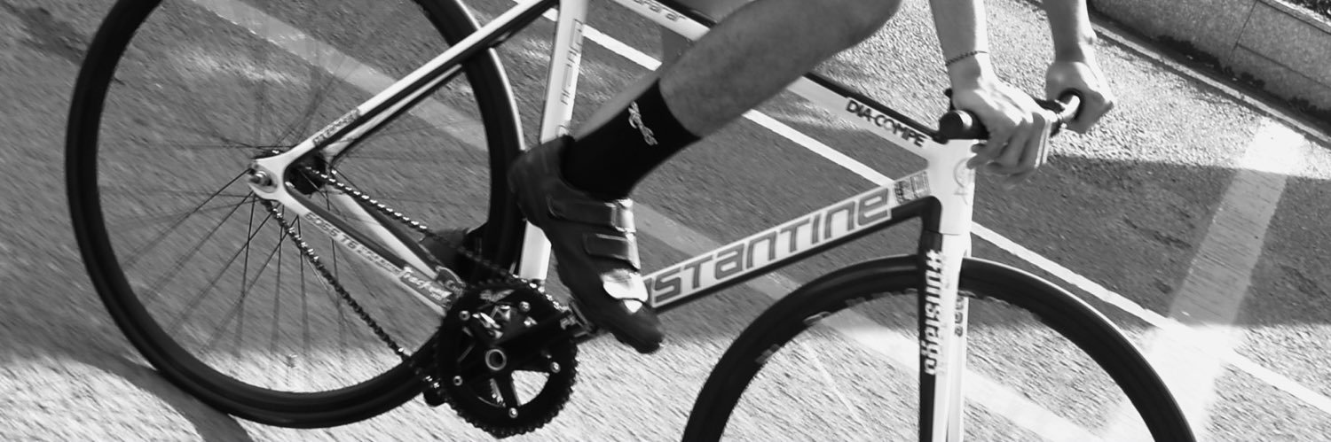 jual ikan cupang banner