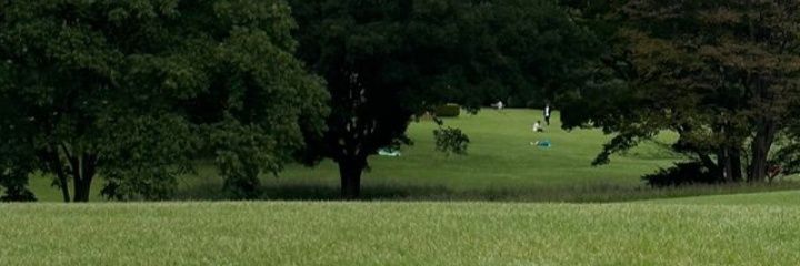 pocalog's profile banner image