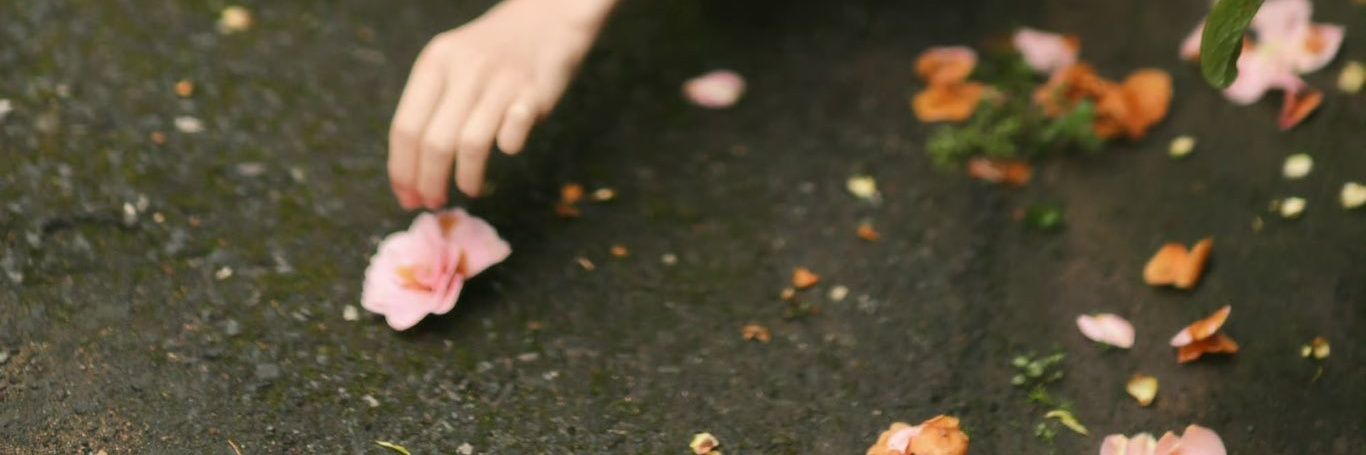 𝓚inan. banner