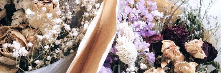 duskwed's profile banner image