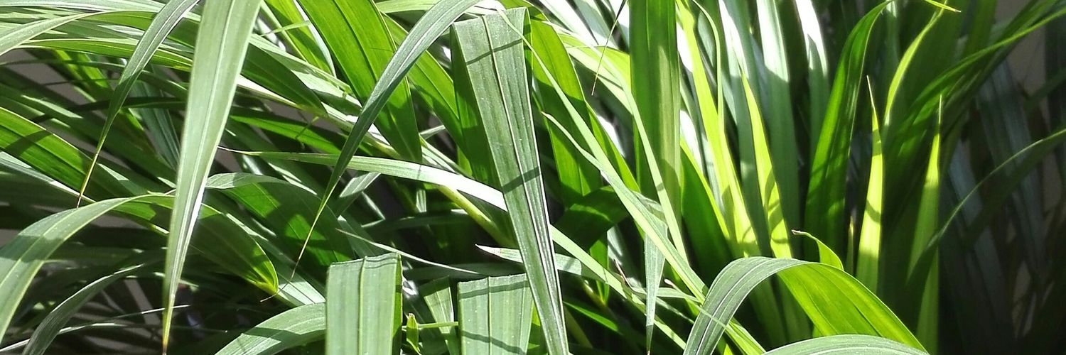 fixyourplans's profile banner image