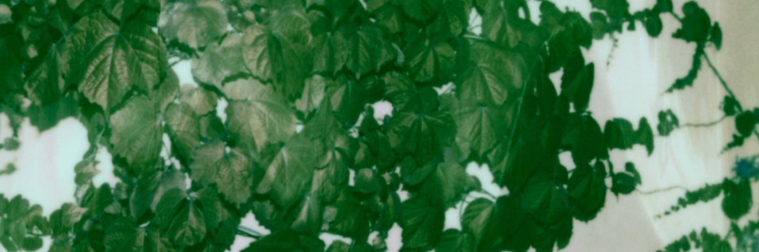 studiofougere's profile banner image