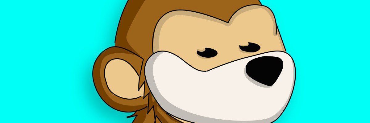 BorkeSol's profile banner image