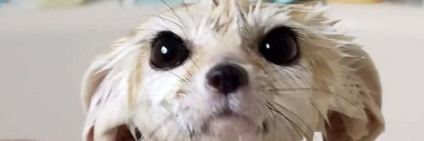 vexedtucsi1 Profile Banner