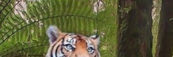 Dan riquelme banner