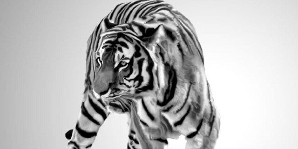 Atalnasrat's profile banner image