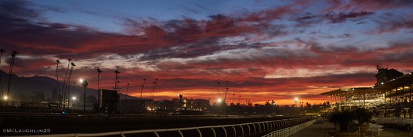 kimo16 Profile Banner