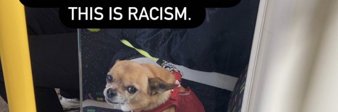 timlightsout's profile banner image