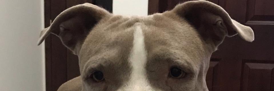 hymo_o's profile banner image