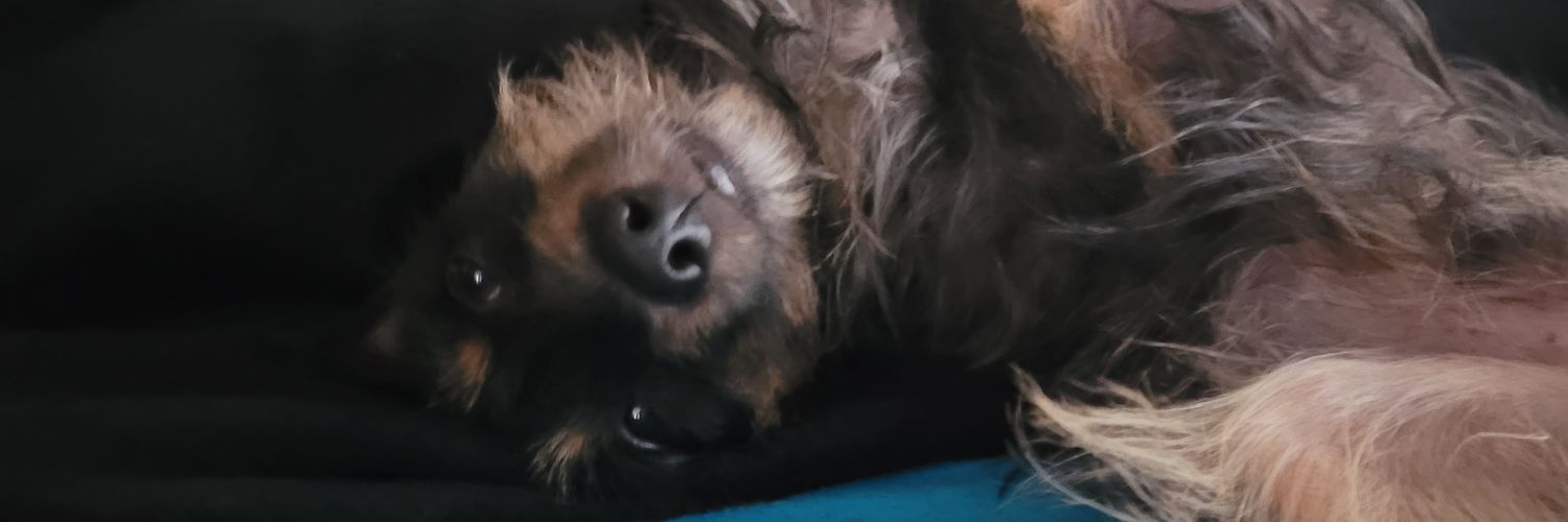 NaeriTierrez's profile banner image