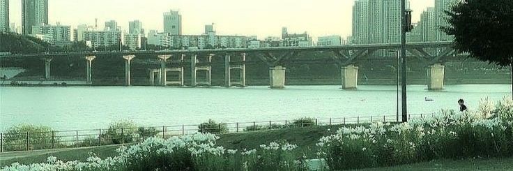 rhino || on a break ~ banner