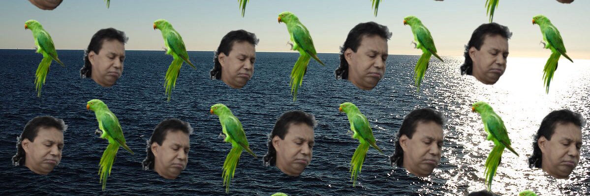 DonLuij's profile banner image