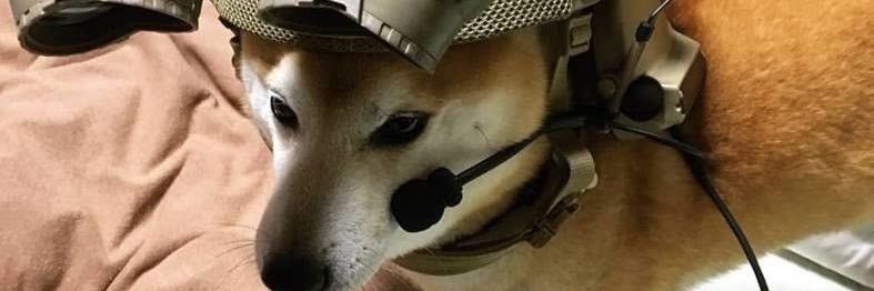 🔫syou🦊 banner