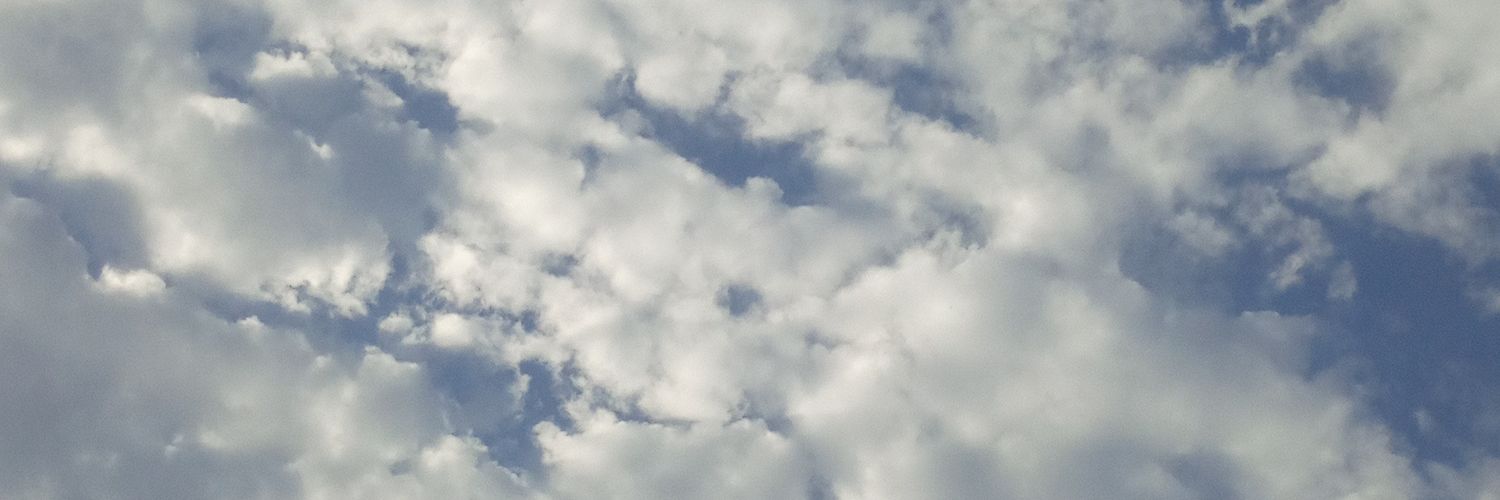 nyx2077's profile banner image