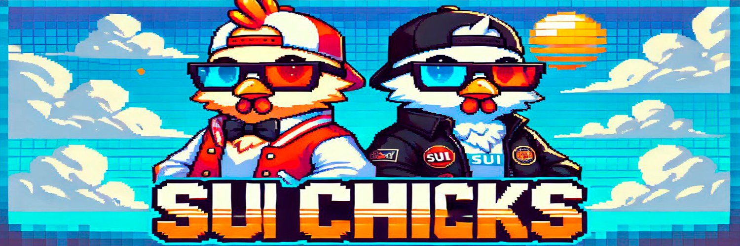 Sui Chicks 🐤 banner