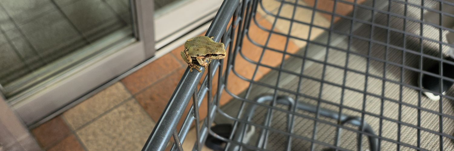 じょーじ / ShowGo.George banner