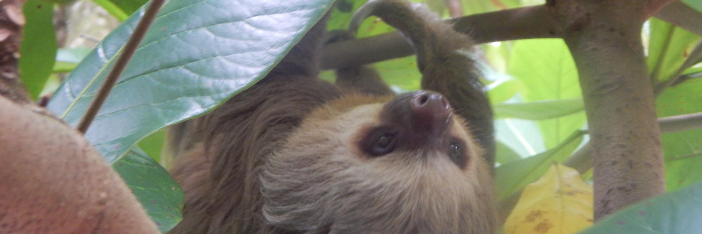 hannahgreerhere's profile banner image
