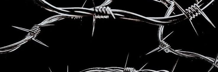 PixelBroth 🍁 banner