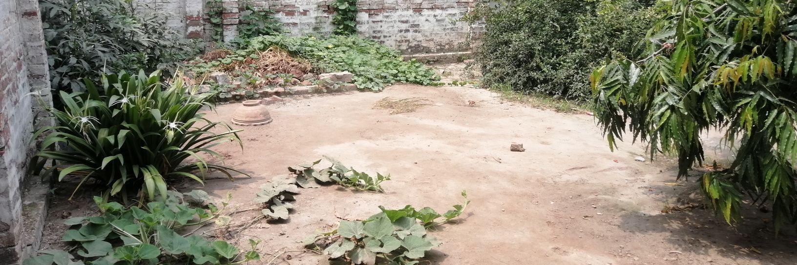 سائیں پیٹر banner