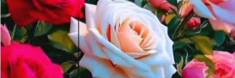 Elham banner